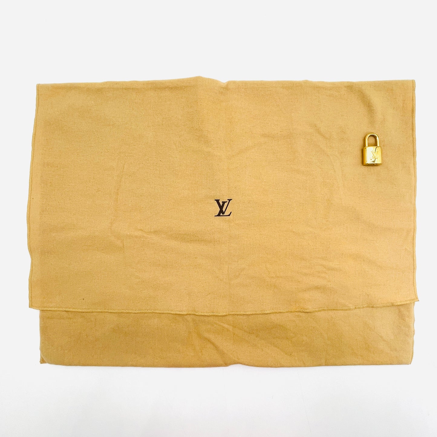 LOUIS VUITTON Vernis Alma PM