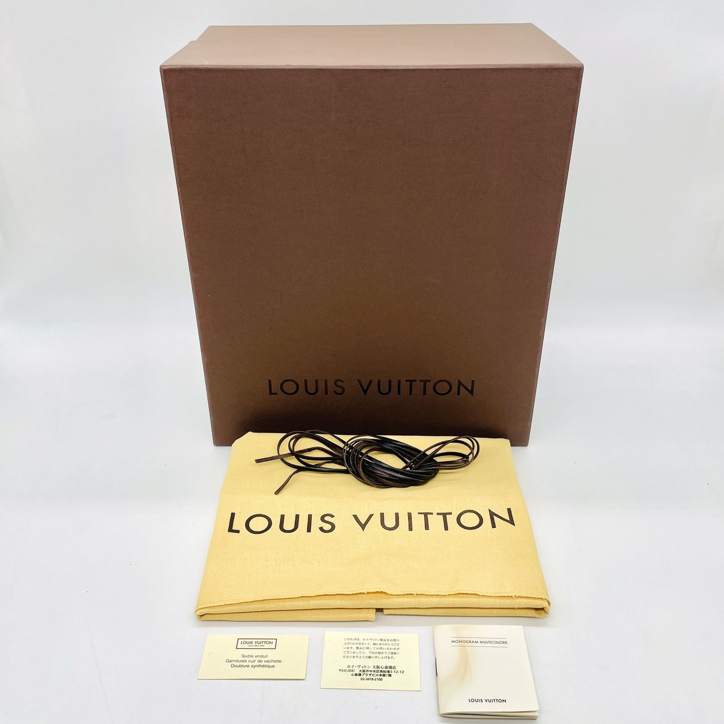 LOUIS VUITTON Multicolor Audra