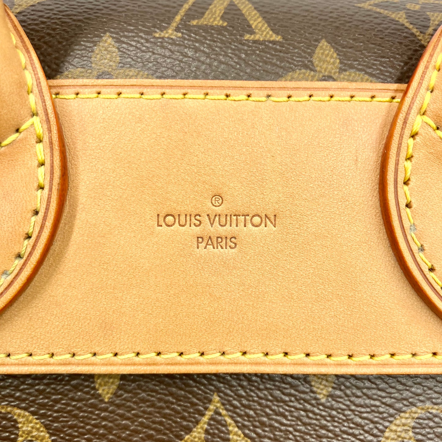 LOUIS VUITTON Monogram Eden PM