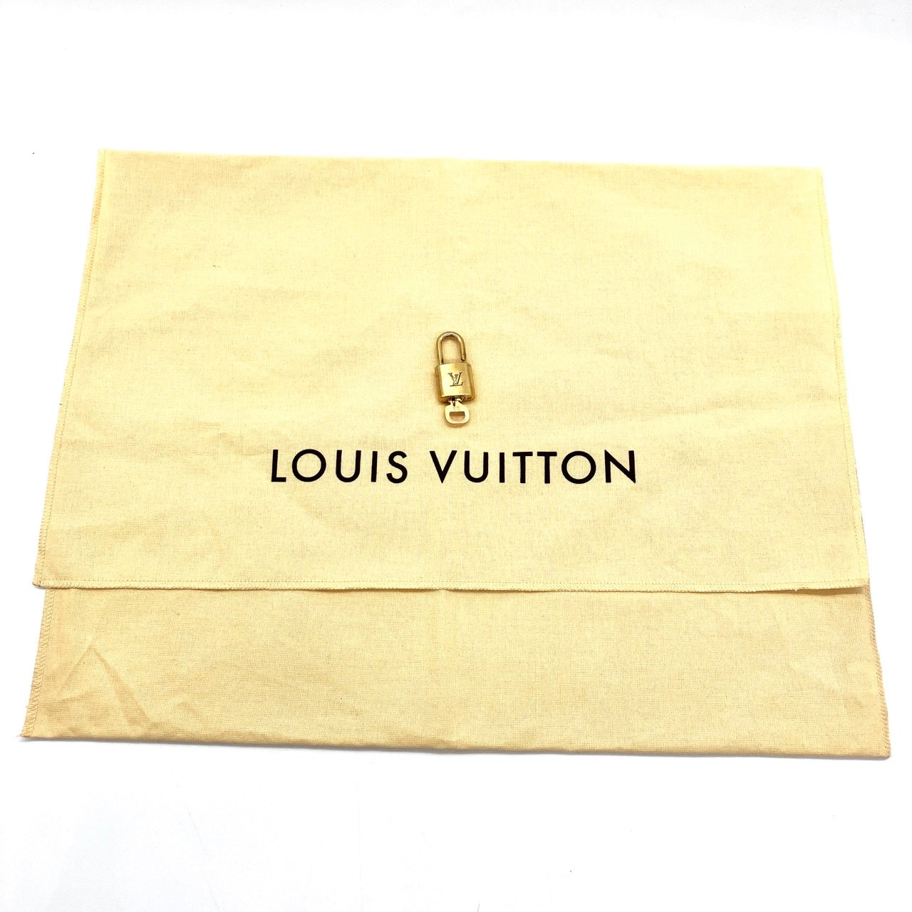 LOUIS VUITTON city steamer