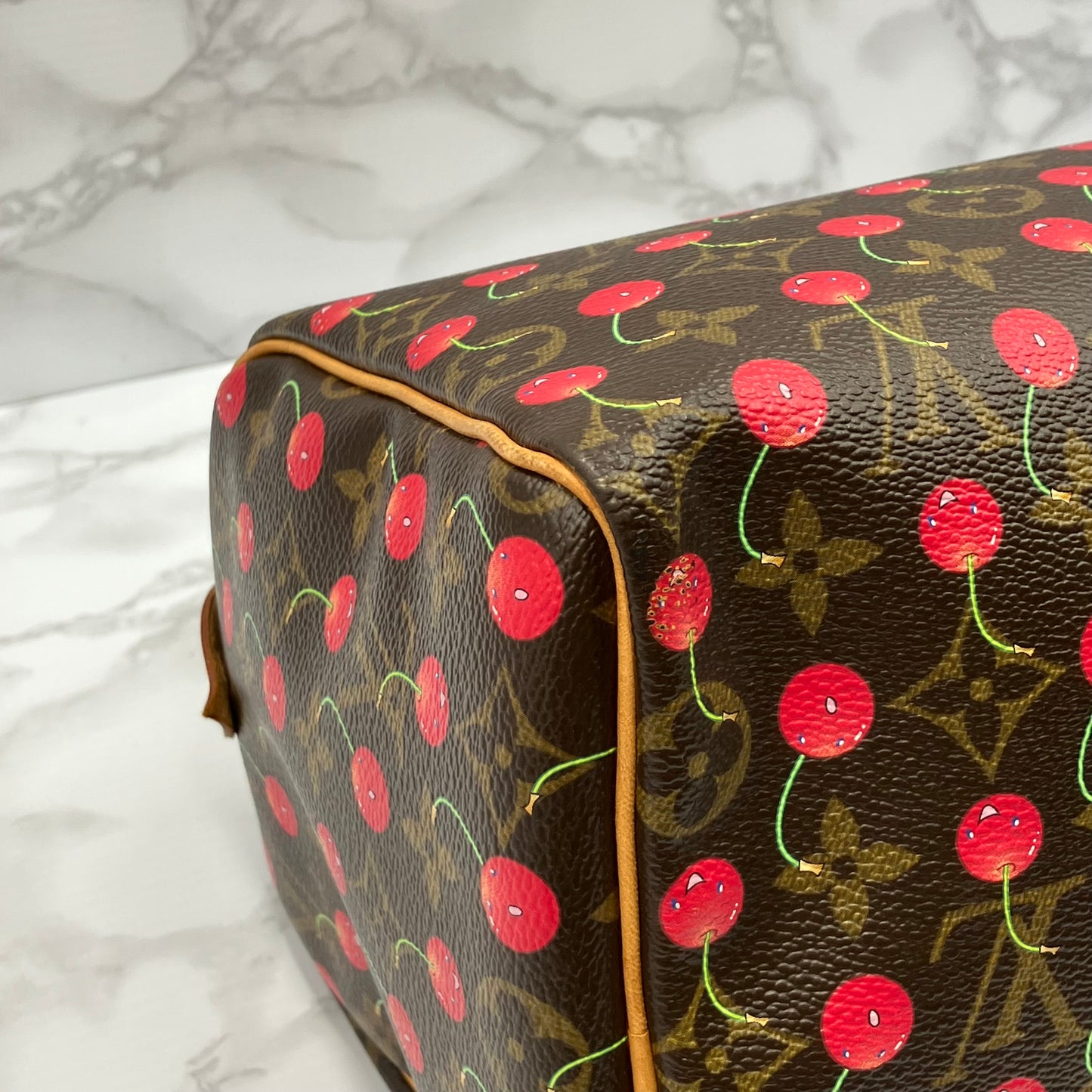 LOUIS VUITTON Speedy 25 monogram Cherry