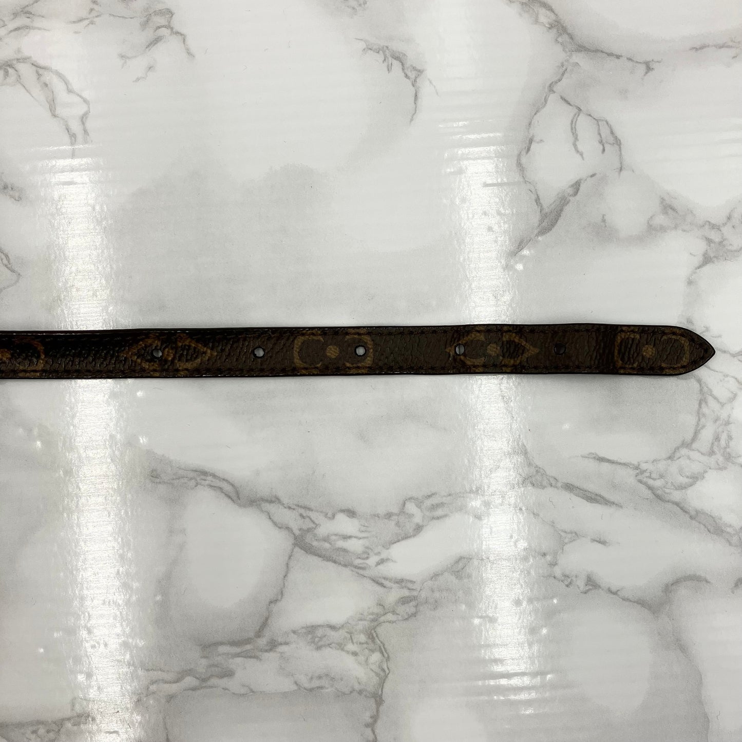 LOUIS VUITTON Monogram neck strap