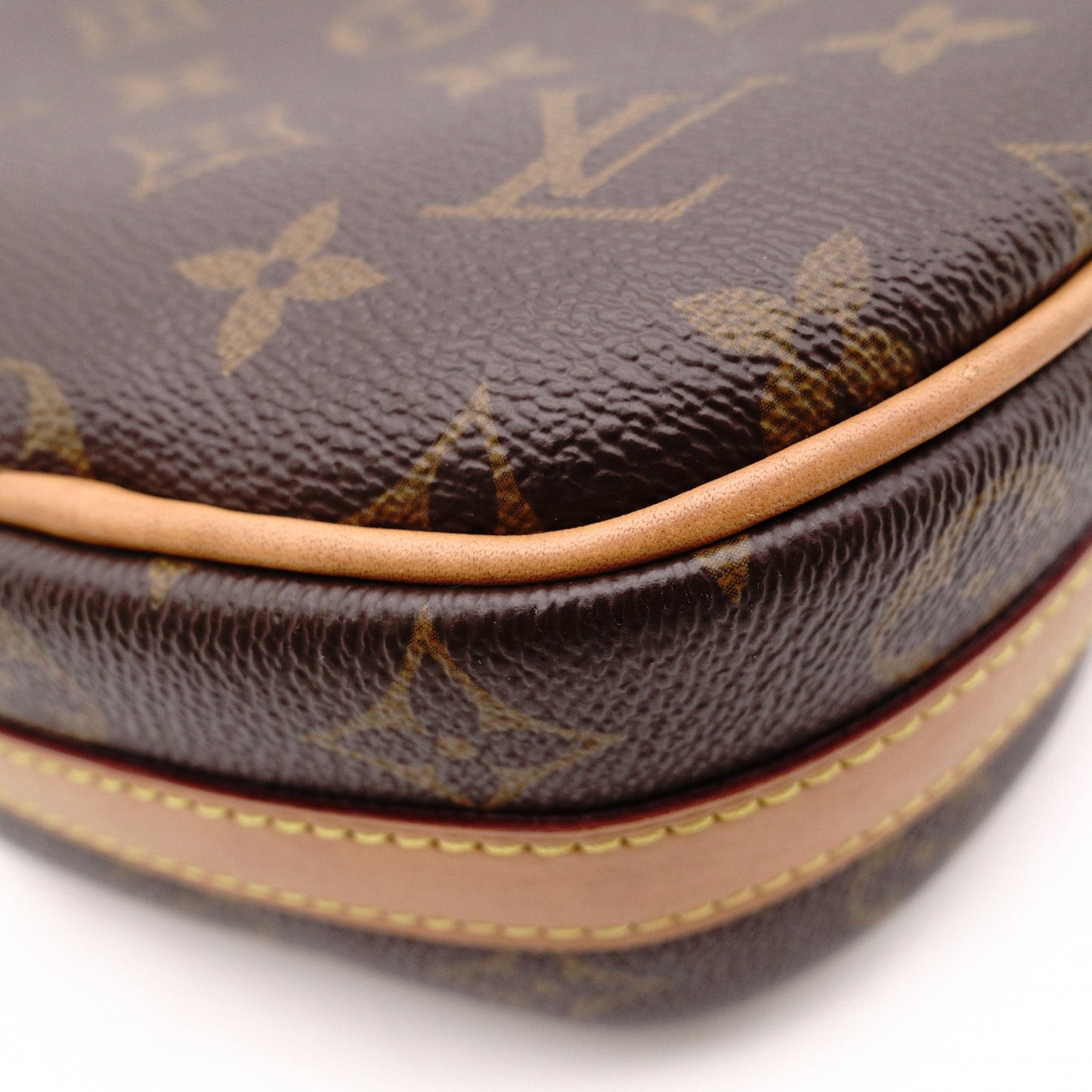 LOUIS VUITTON BoIte Chapeau Souple PM Monogram Shoulder Bag