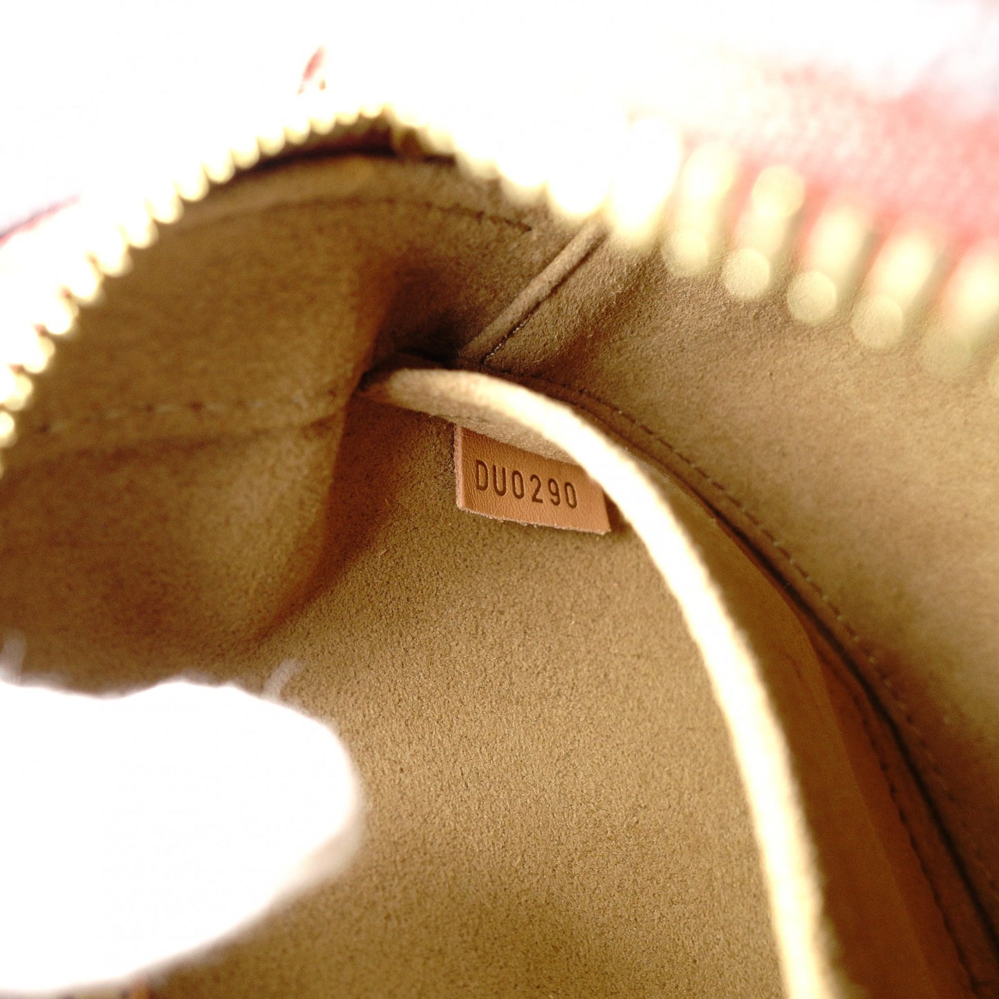LOUIS VUITTON BoIte Chapeau Souple PM Monogram Shoulder Bag