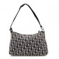 Christian Dior Accessories Pouch Trotter Shoulder Bag, Canvas, Black