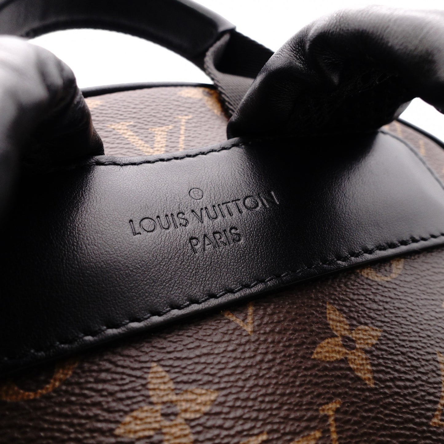LOUIS VUITTON Josh NV Monogram Macassar Backpack for Men