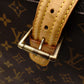LOUIS VUITTON Multipli Cité Monogram Canvas Shoulder Bag