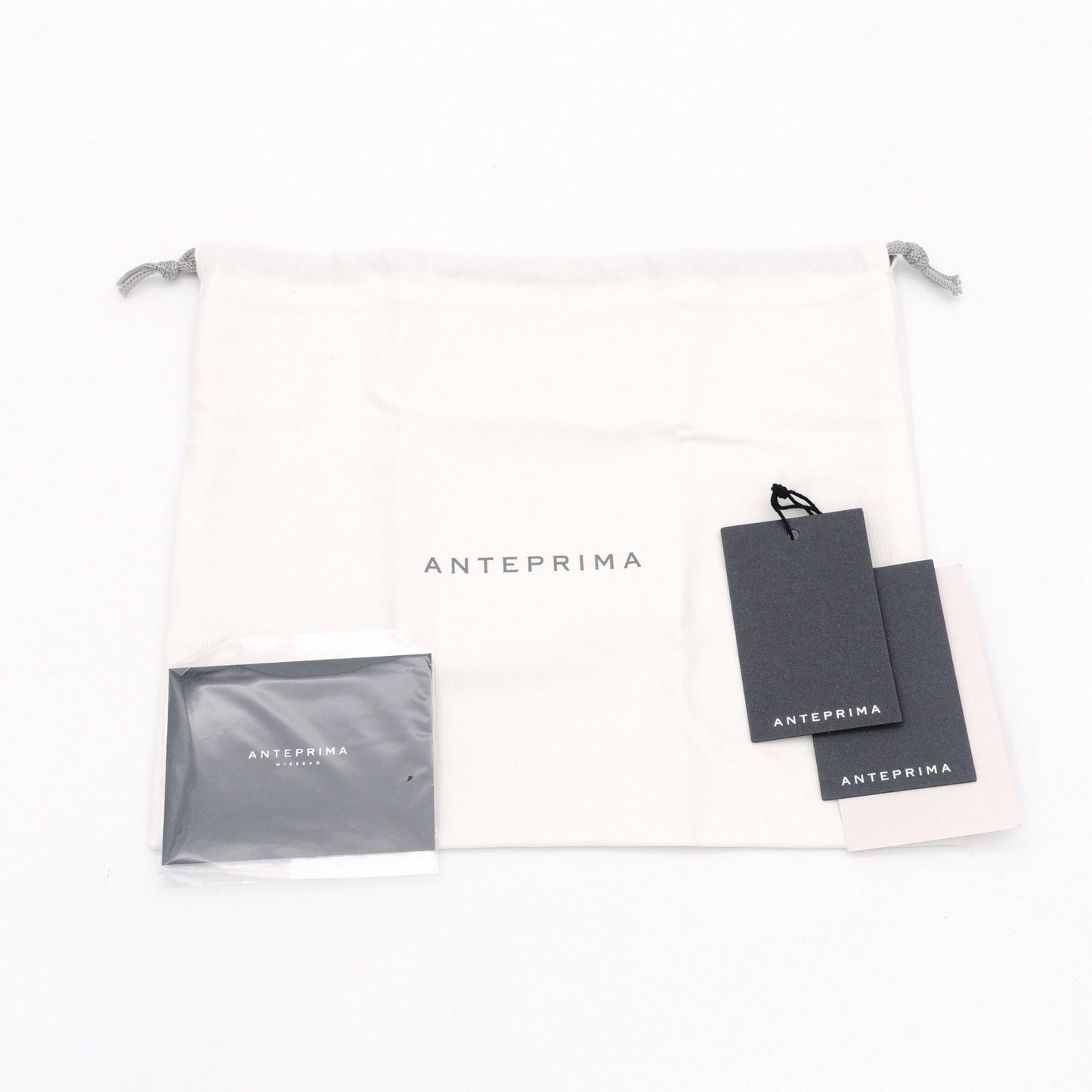 ANTEPRIMA Small Sempre Shoulder Bag, Chrome-Plated Iron, Clear