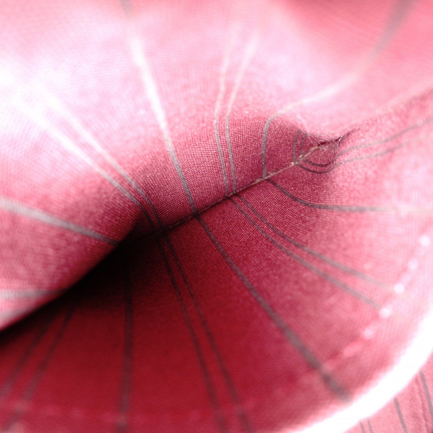 LOUIS VUITTON Speedy Bandoulière 25 Implant Handbag (Red) 2-Way