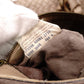 BOTTEGAVENETA Intrecciato Handbag, Leather, Beige