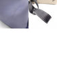 LOEWE Hammock Handbag, Leather, Beige, Purple, Multicolor, 2-Way