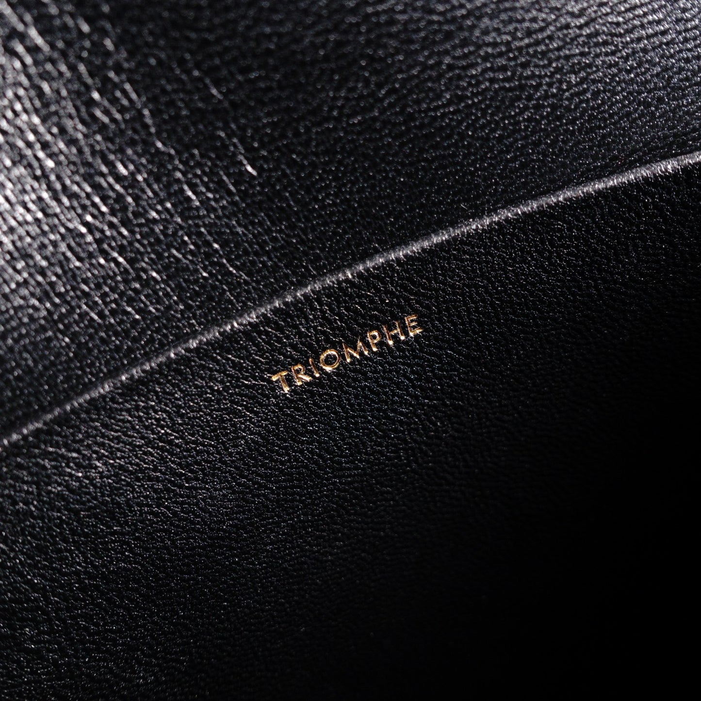 CELINE Teen Triomphe Shoulder Bag, Leather, Black with Gold Hardware