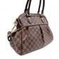 LOUIS VUITTON Trevi PM Damier Ébène Handbag / 2-Way Shoulder Bag, PVC/Leather, Brown, Women's