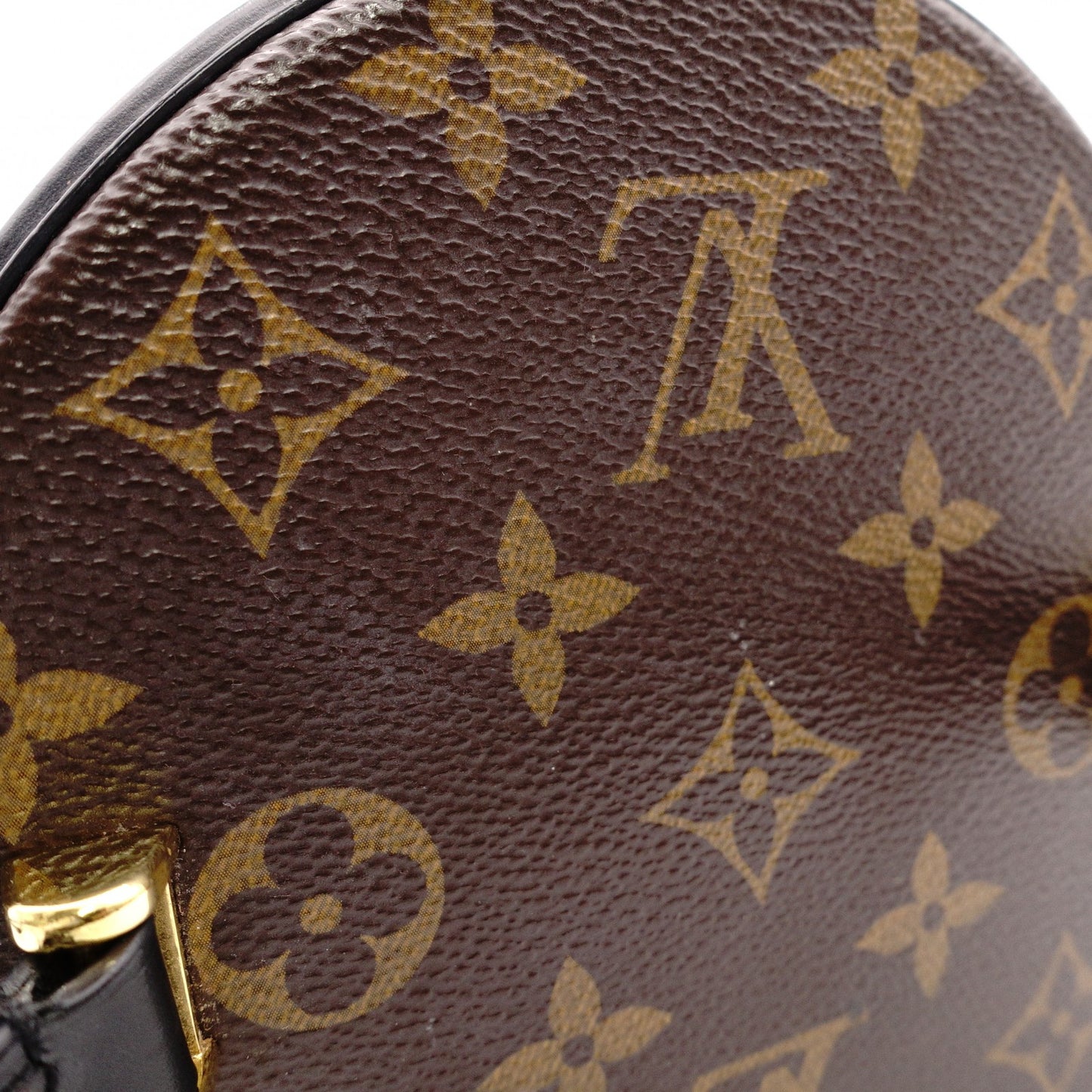 LOUIS VUITTON Cannes Monogram Giant Reverse Shoulder Bag
