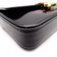 CELINE Shiny Calfskin Triomphe Shoulder Bag, Leather, Black, Rhinestones