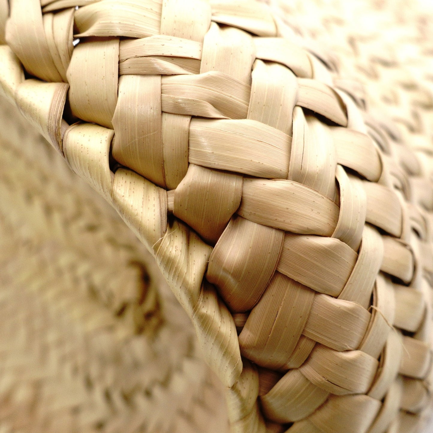 LOEWE Large Basket Handbag, Raffia/Leather, Beige, Woven Bag