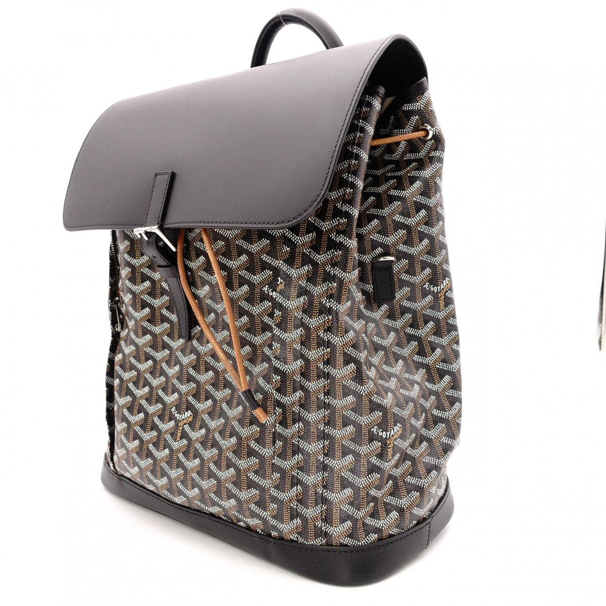 Unused GOYARD Alpane Backpack MM, PVC/Leather, Black, Men's