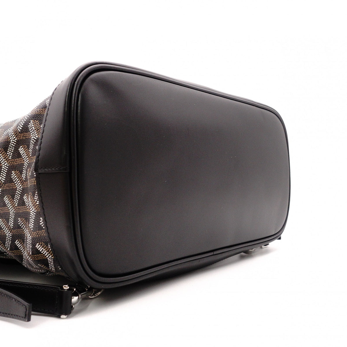 Unused GOYARD Alpane Backpack MM, PVC/Leather, Black, Men's