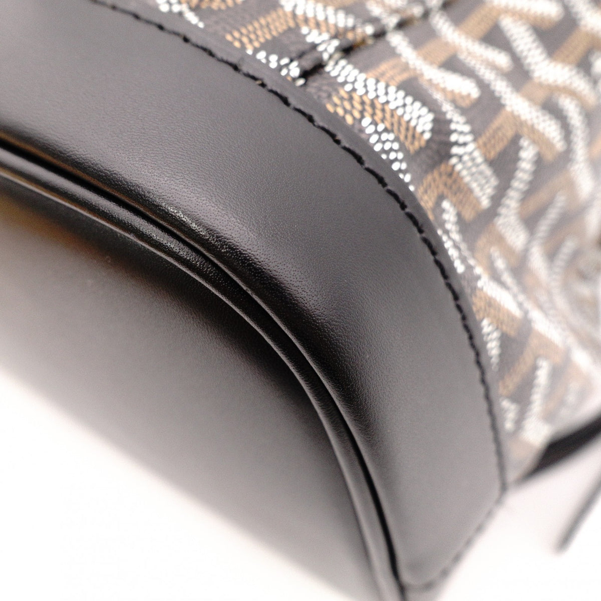 Unused GOYARD Alpane Backpack MM, PVC/Leather, Black, Men's