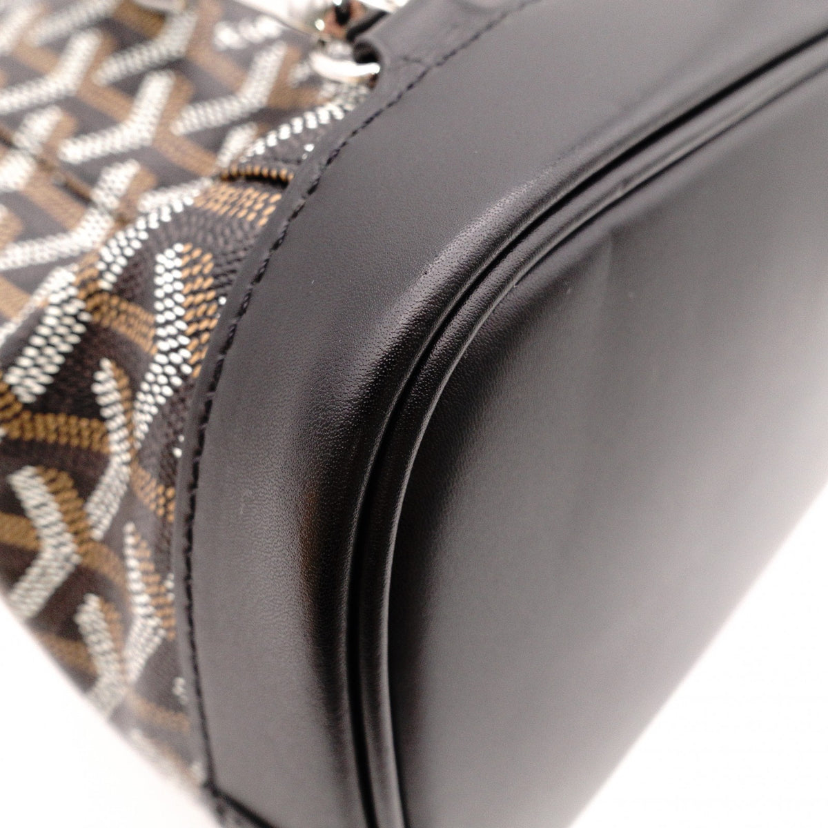 Unused GOYARD Alpane Backpack MM, PVC/Leather, Black, Men's