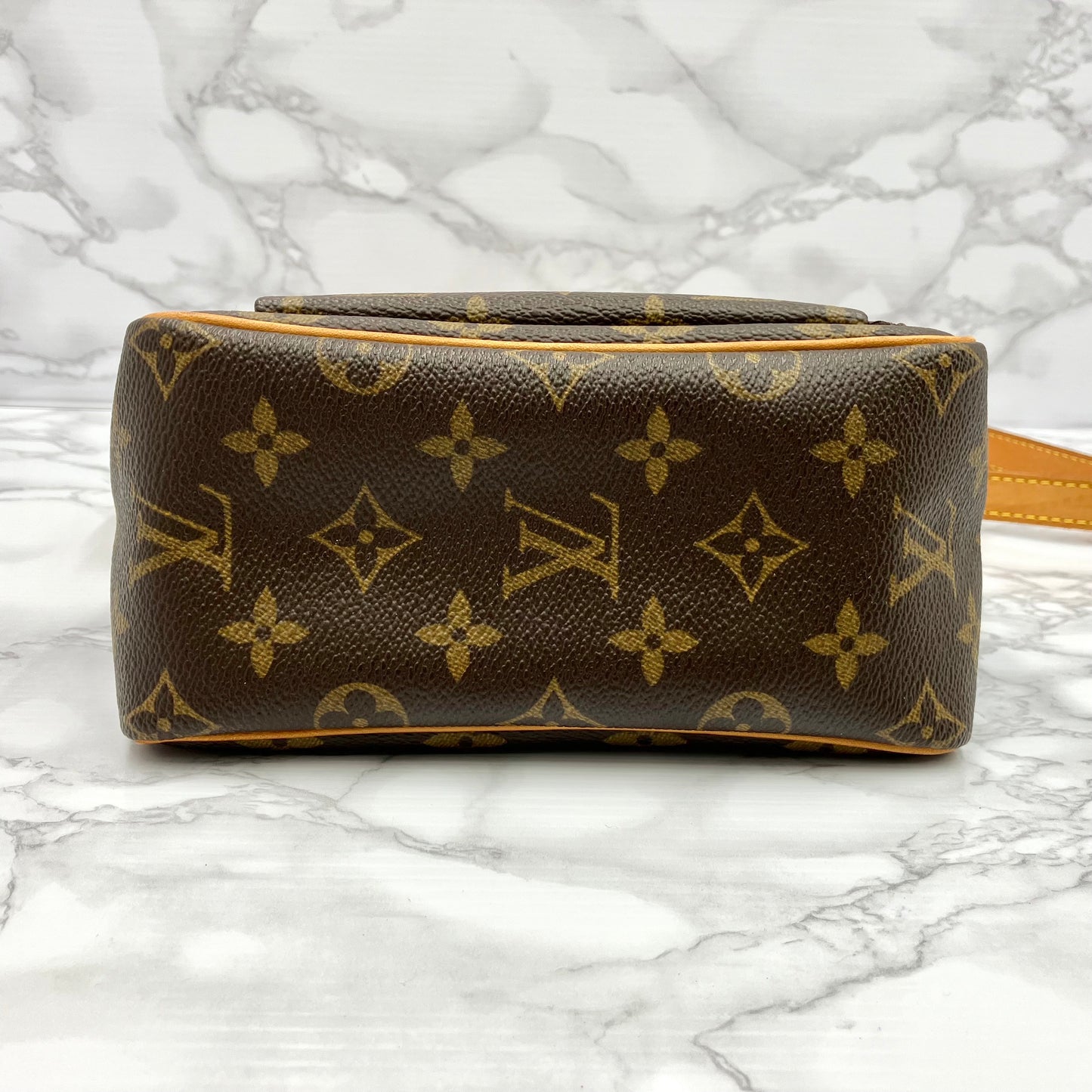 LOUIS VUITTON Monogram Viva Cite PM