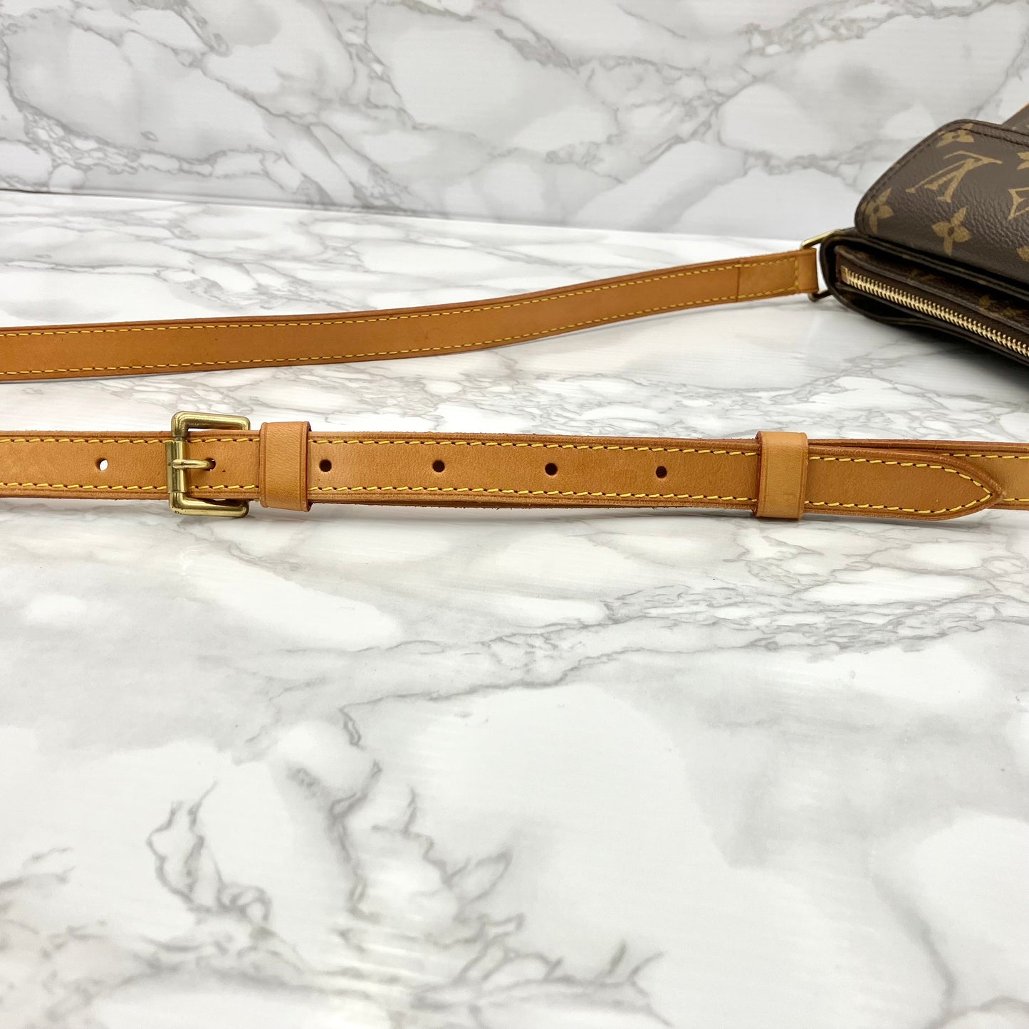 LOUIS VUITTON Monogram Viva Cite PM