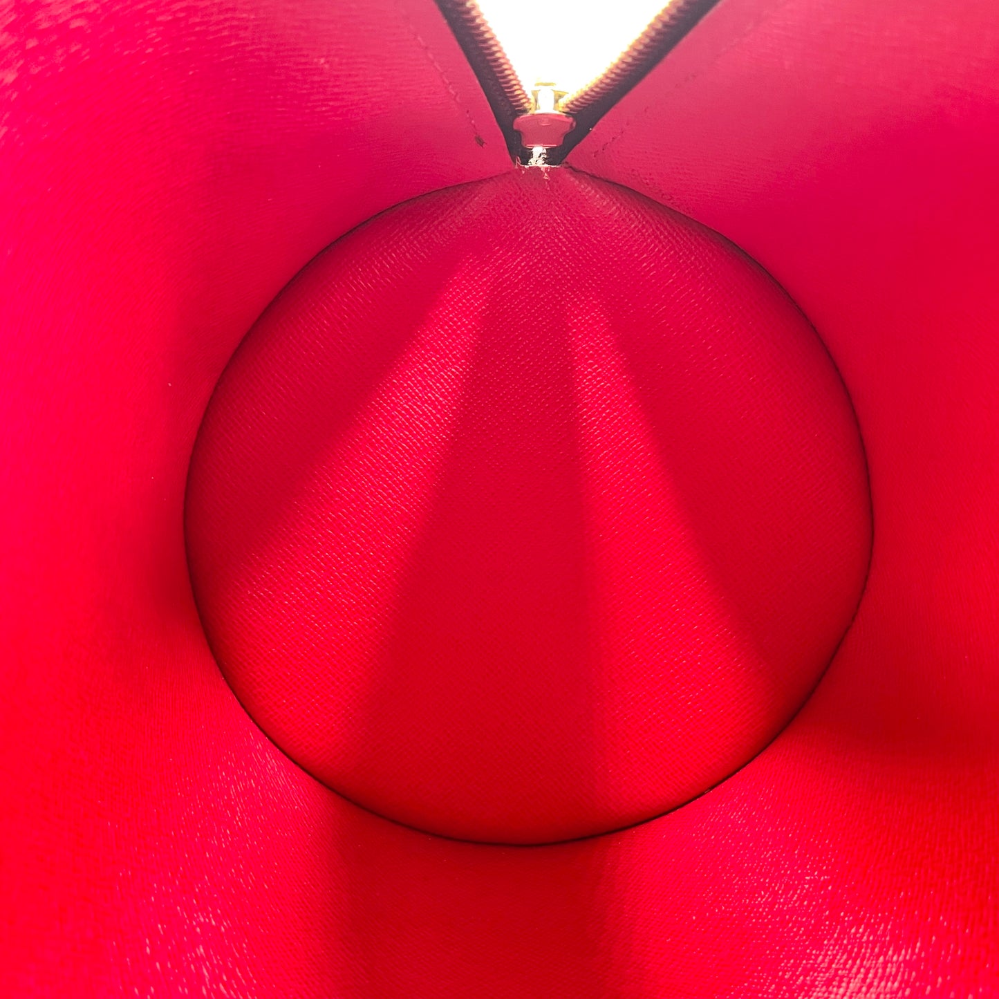 LOUIS VUITTON Damier Papillon