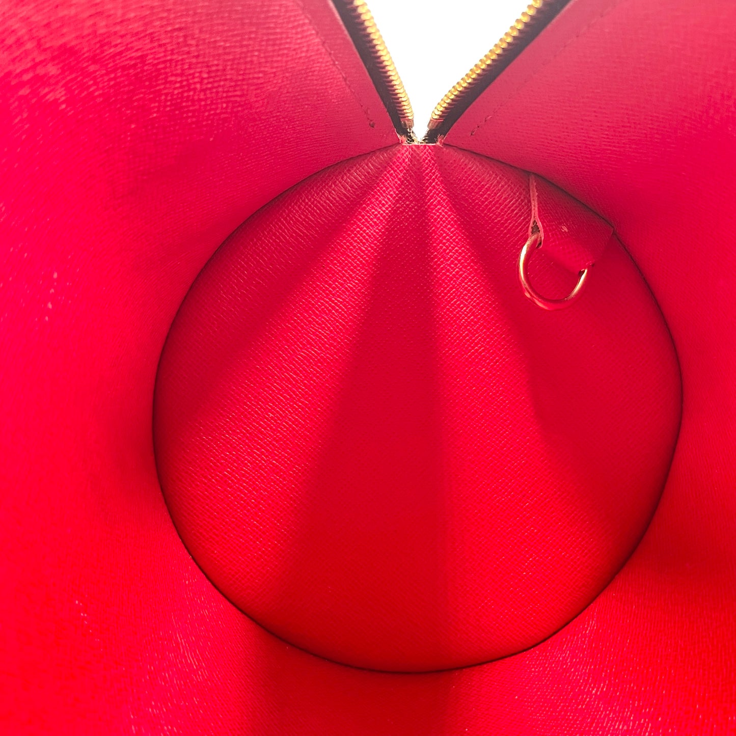 LOUIS VUITTON Damier Papillon