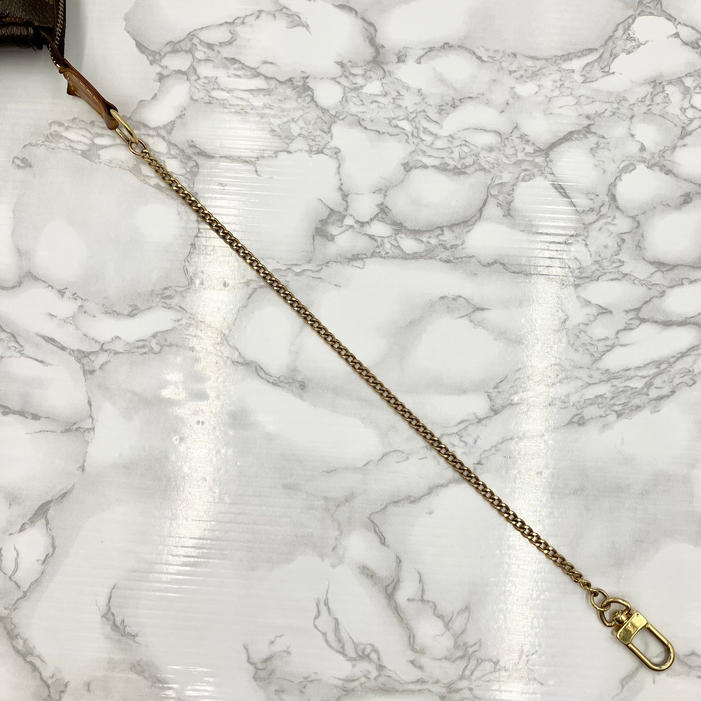 LOUIS VUITTON Mini Accessoir