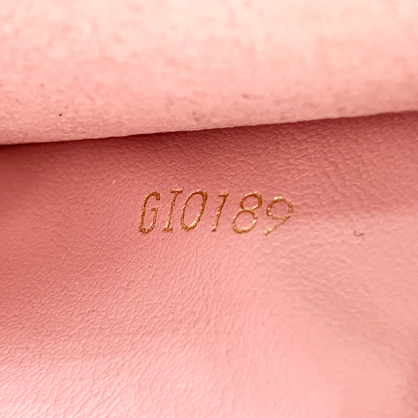 LOUIS VUITTON Pochette Double Zip