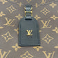 LOUIS VUITTON Monogram Odeon NM PM