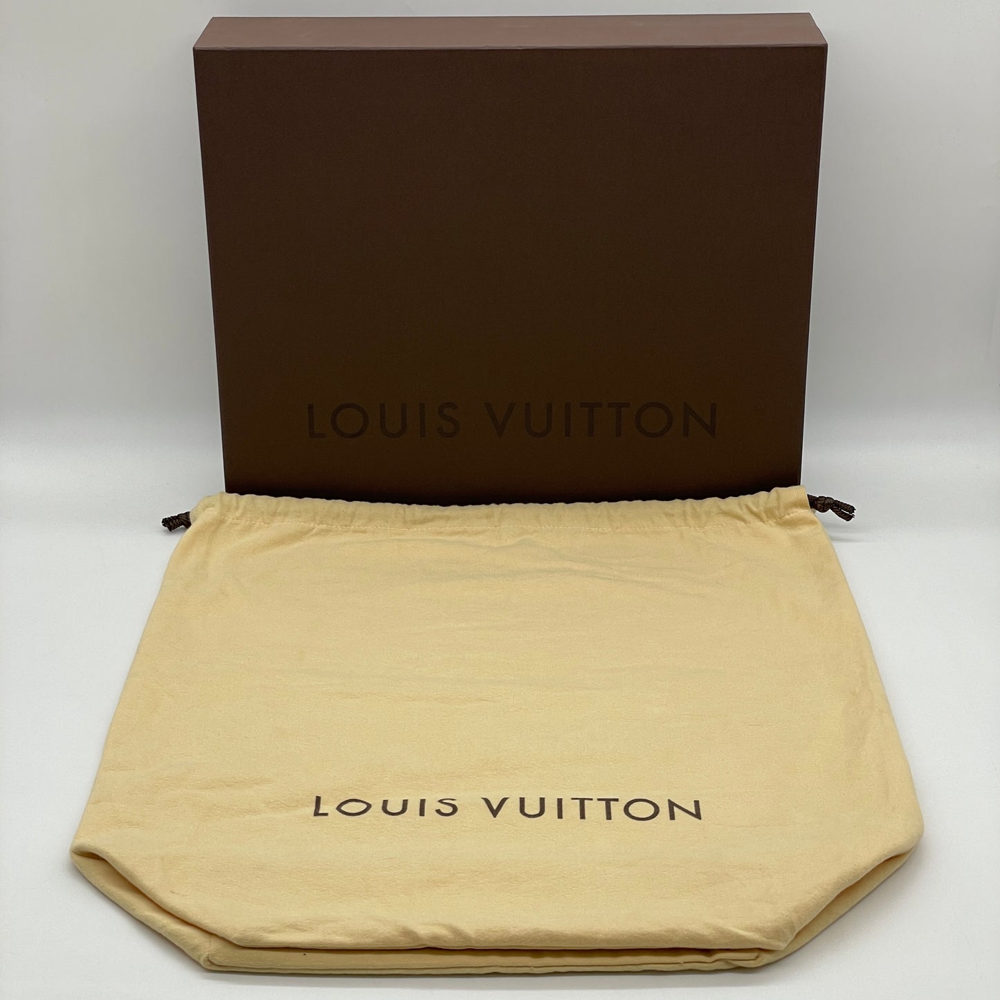 LOUIS VUITTON Monogram Odeon NM PM