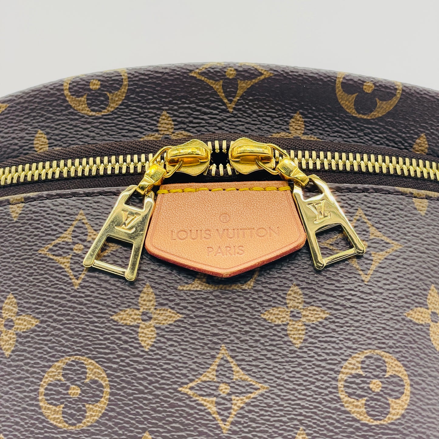 LOUIS VUITTON Monogram Bum bag