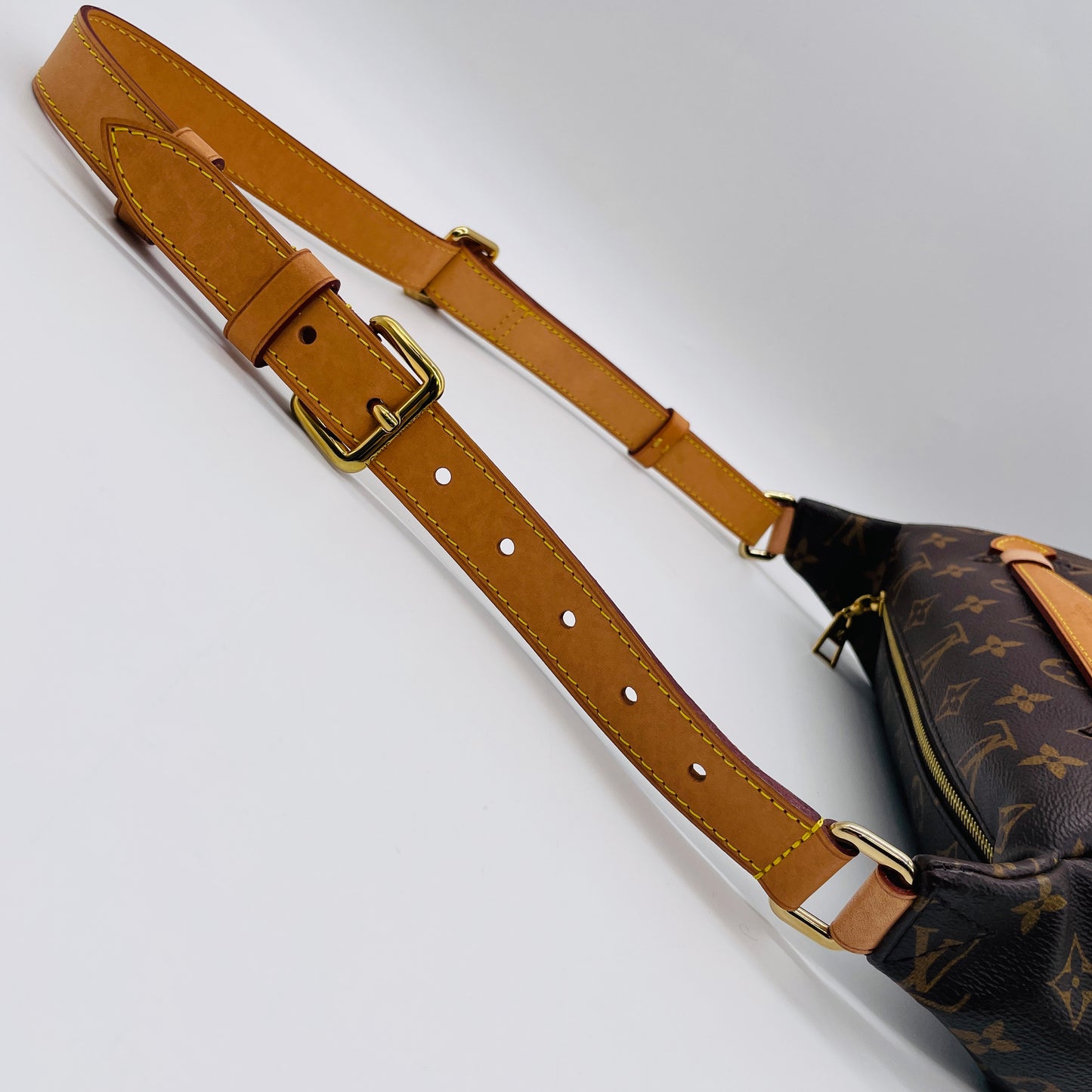 LOUIS VUITTON Monogram Bum bag