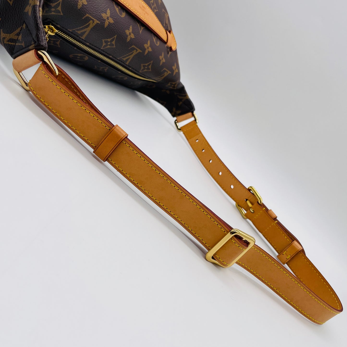 LOUIS VUITTON Monogram Bum bag