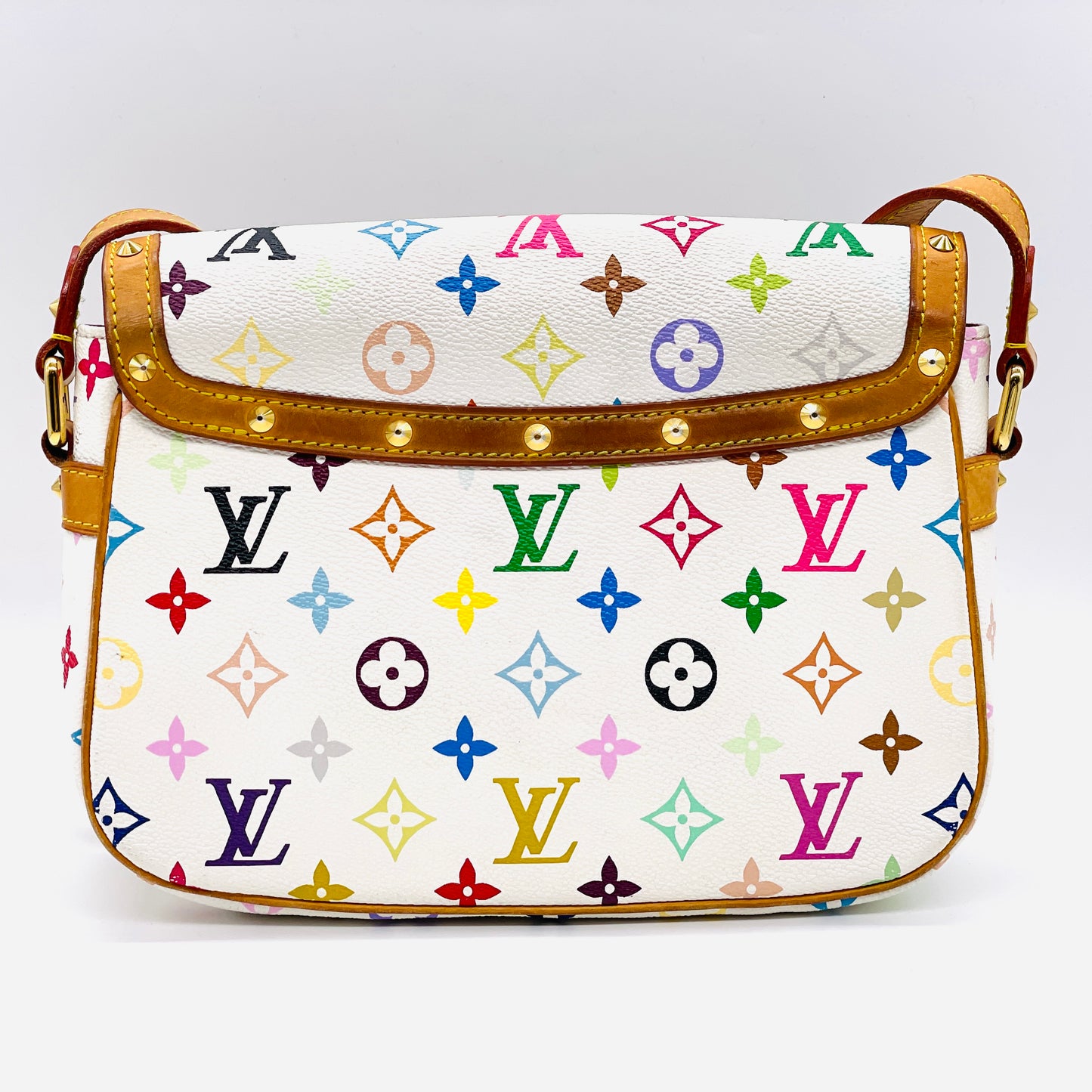 LOUIS VUITTON Multi colore Sologne