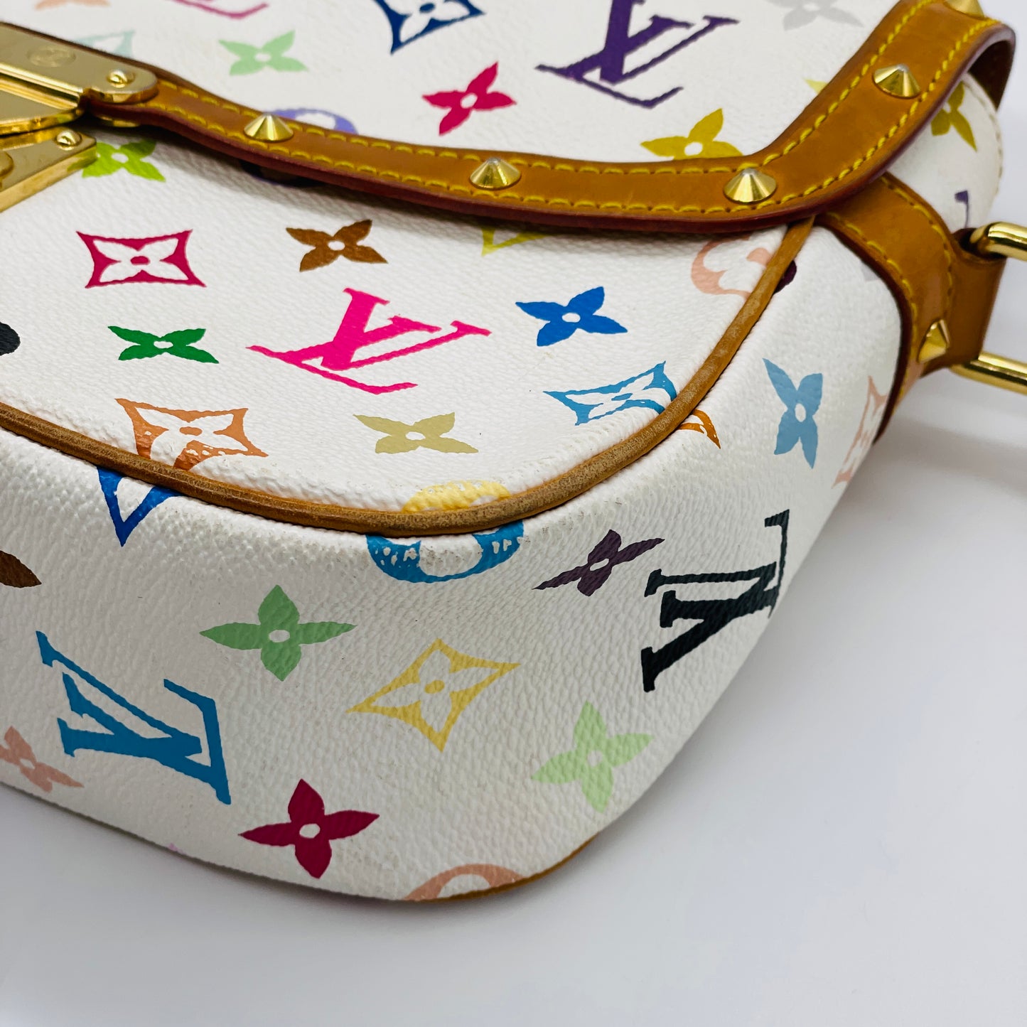 LOUIS VUITTON Multi colore Sologne