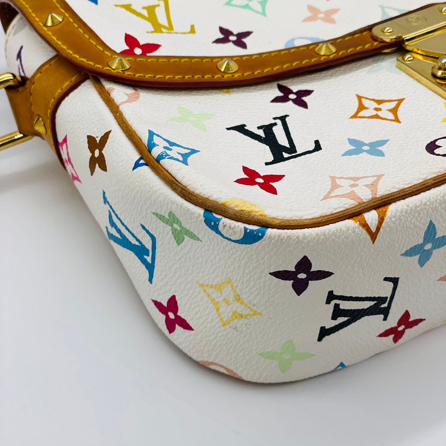 LOUIS VUITTON Multi colore Sologne