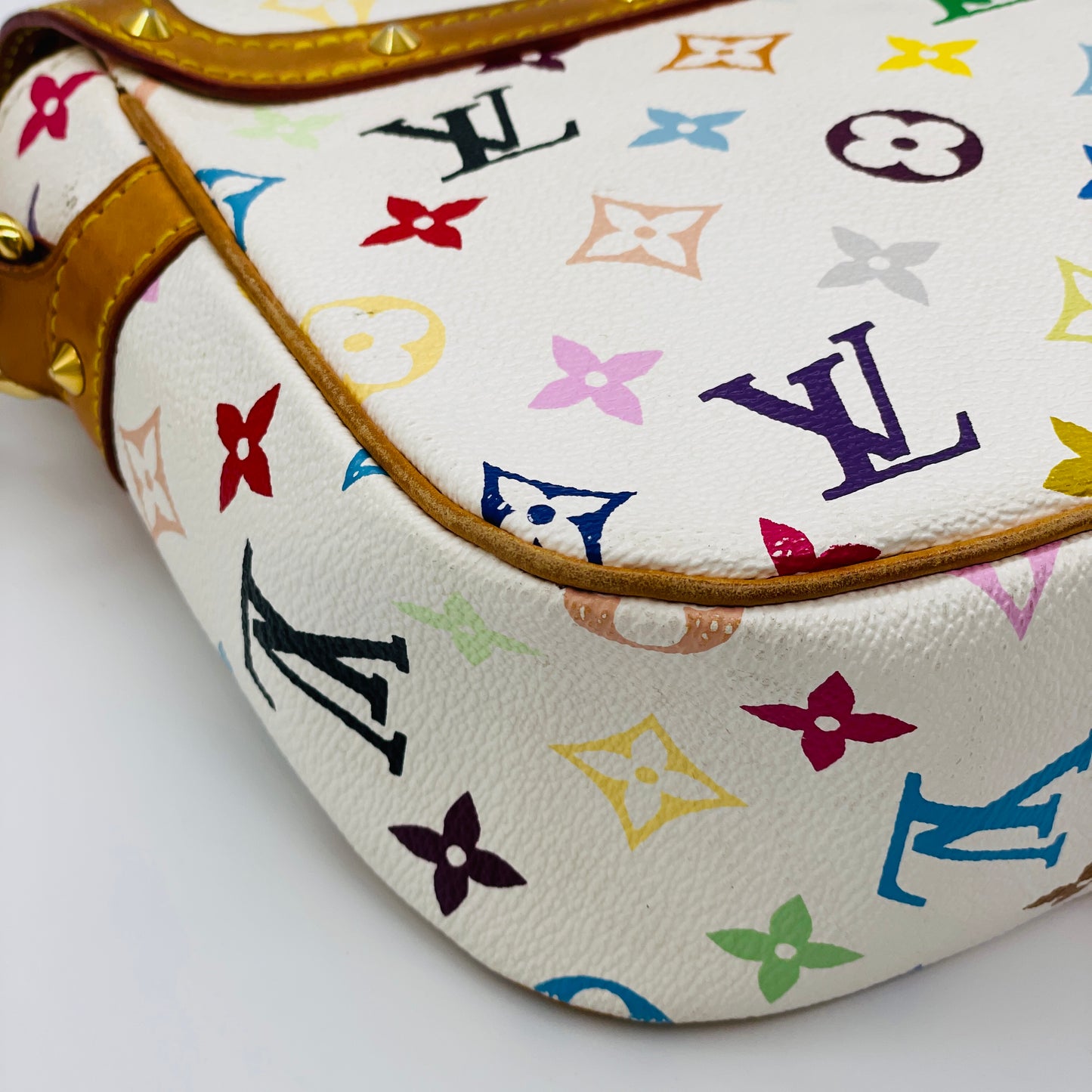 LOUIS VUITTON Multi colore Sologne