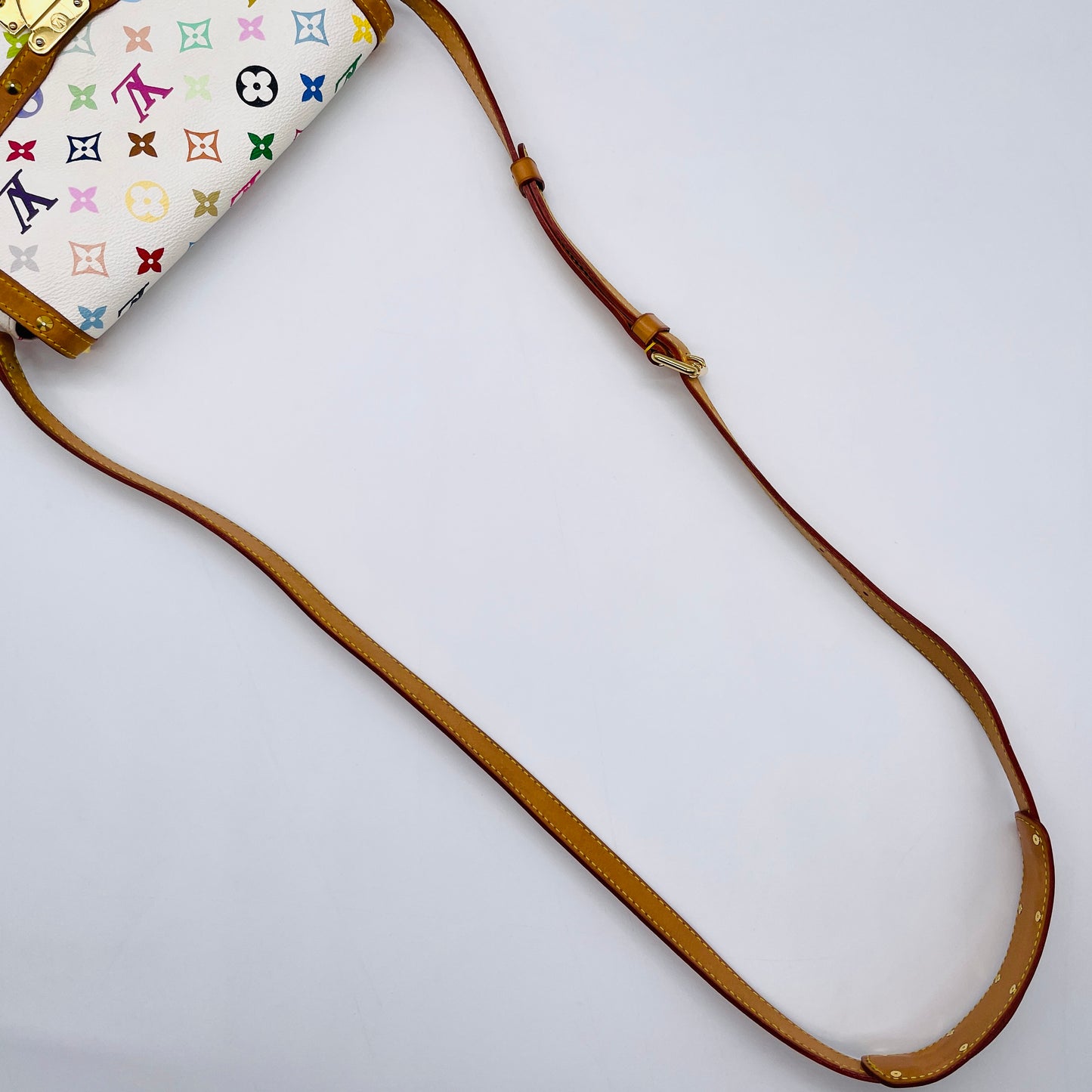 LOUIS VUITTON Multi colore Sologne