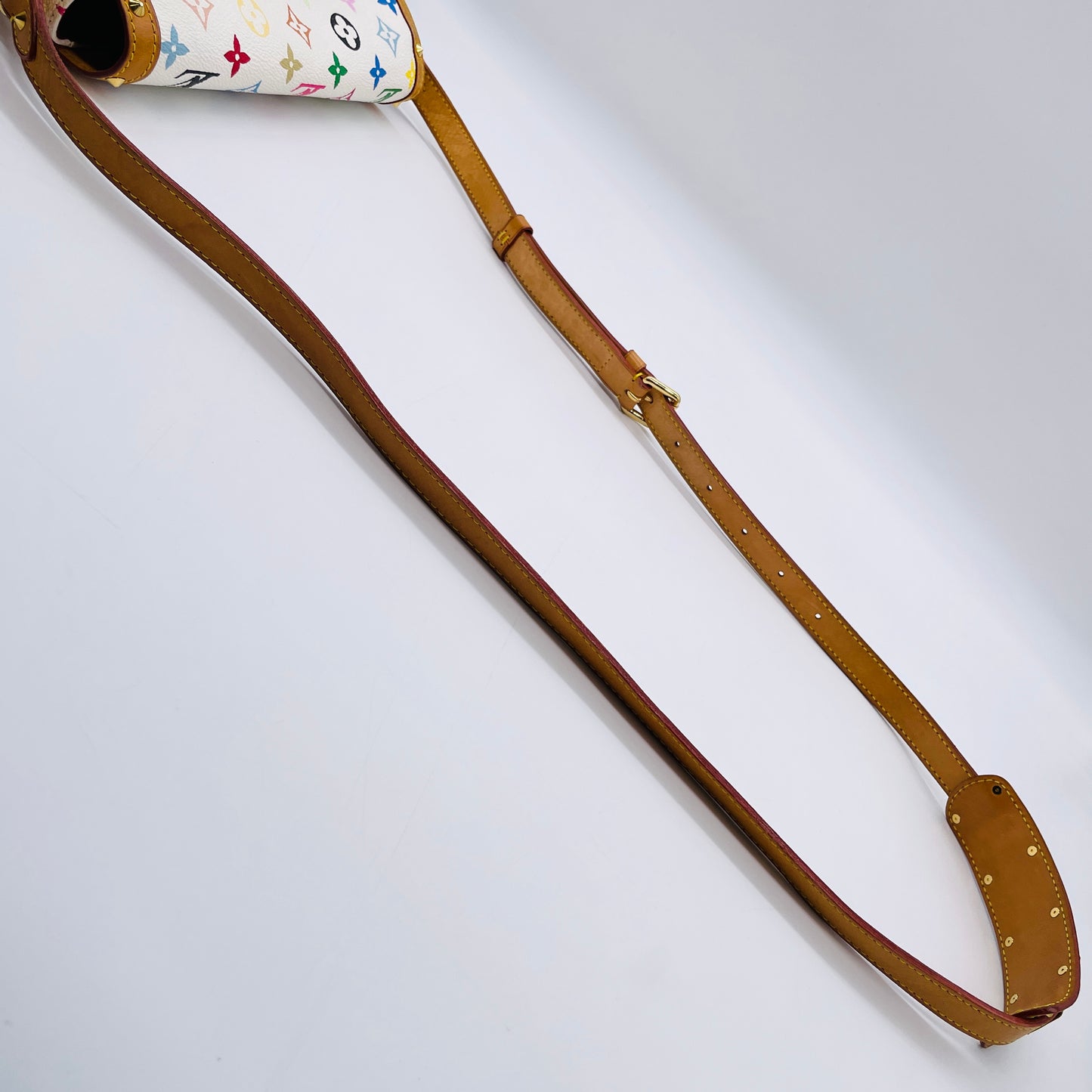 LOUIS VUITTON Multi colore Sologne