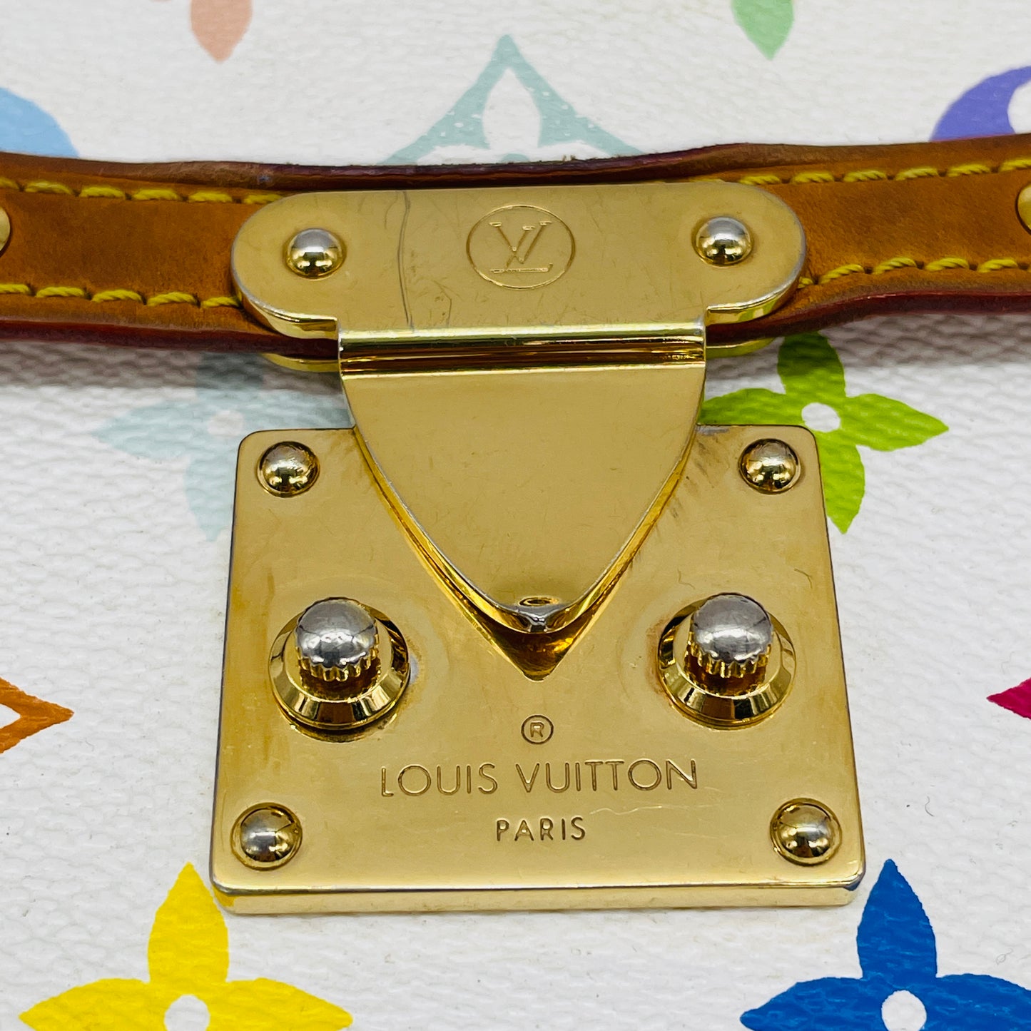 LOUIS VUITTON Multi colore Sologne