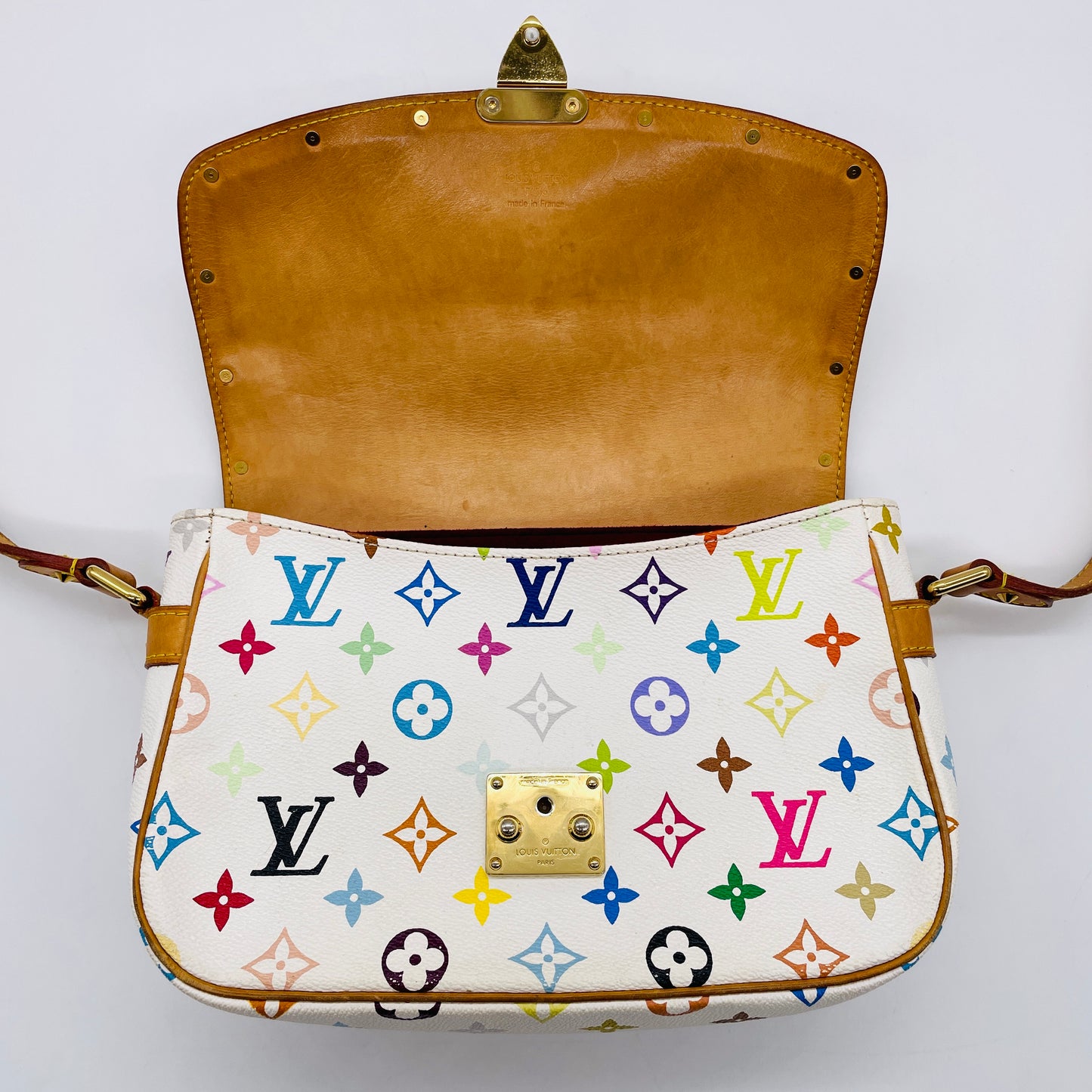 LOUIS VUITTON Multi colore Sologne