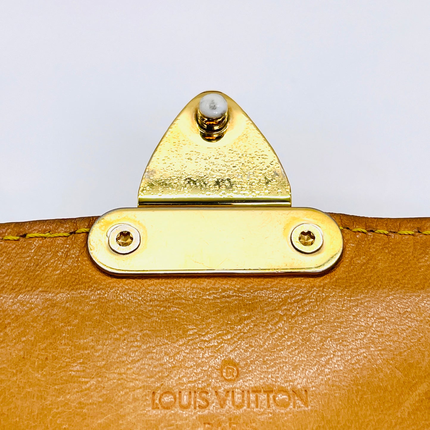 LOUIS VUITTON Multi colore Sologne