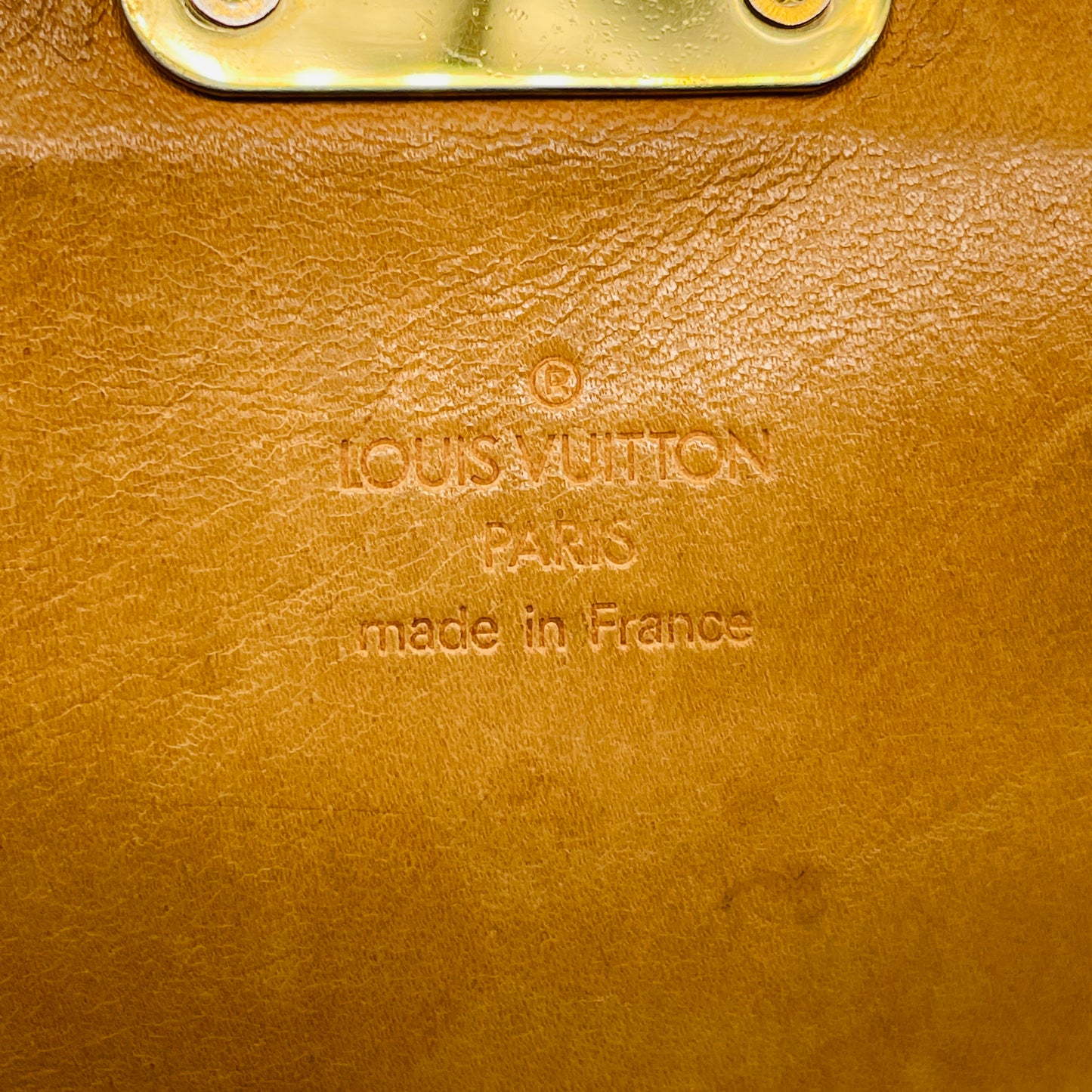 LOUIS VUITTON Multi colore Sologne