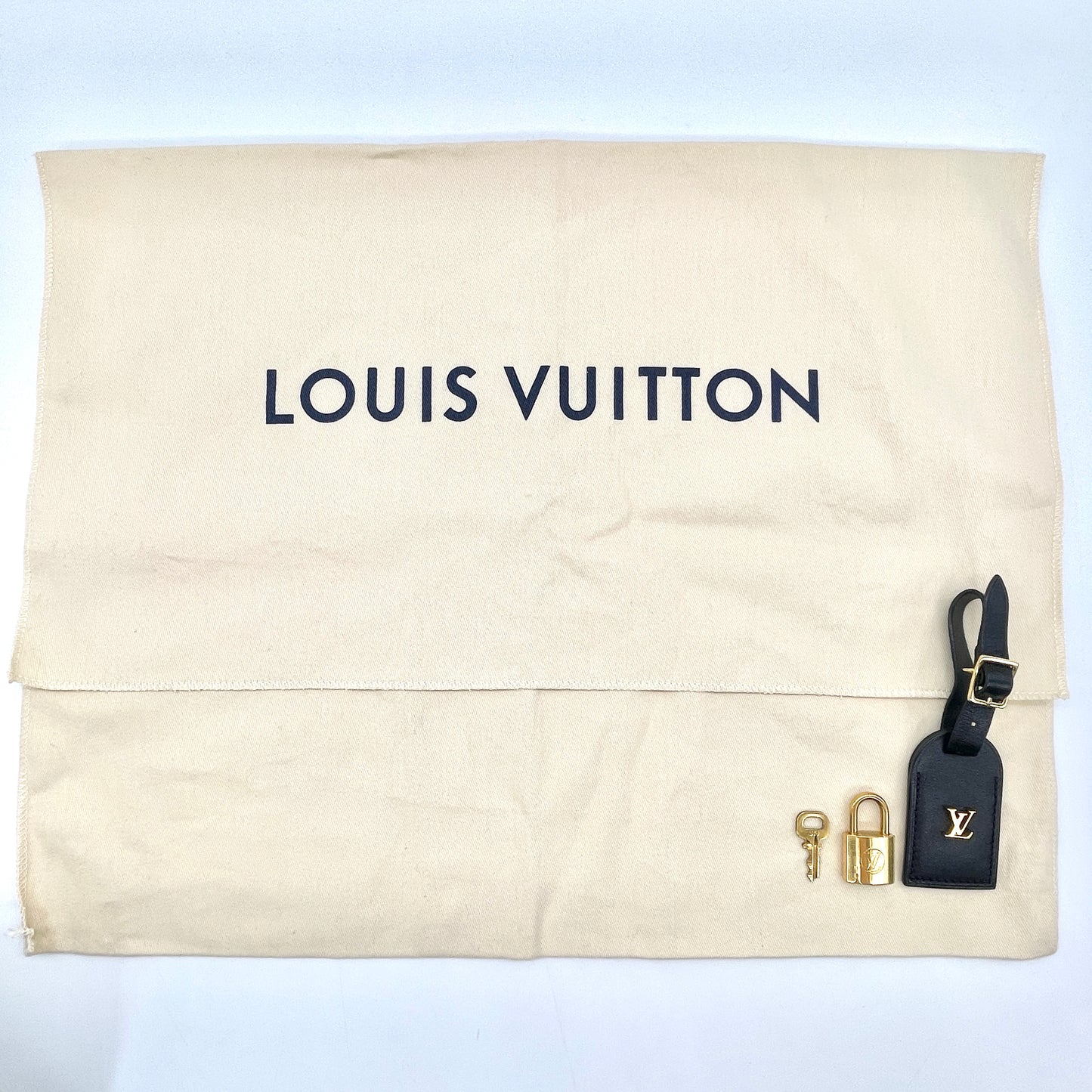 LOUIS VUITTON City Steamer MM