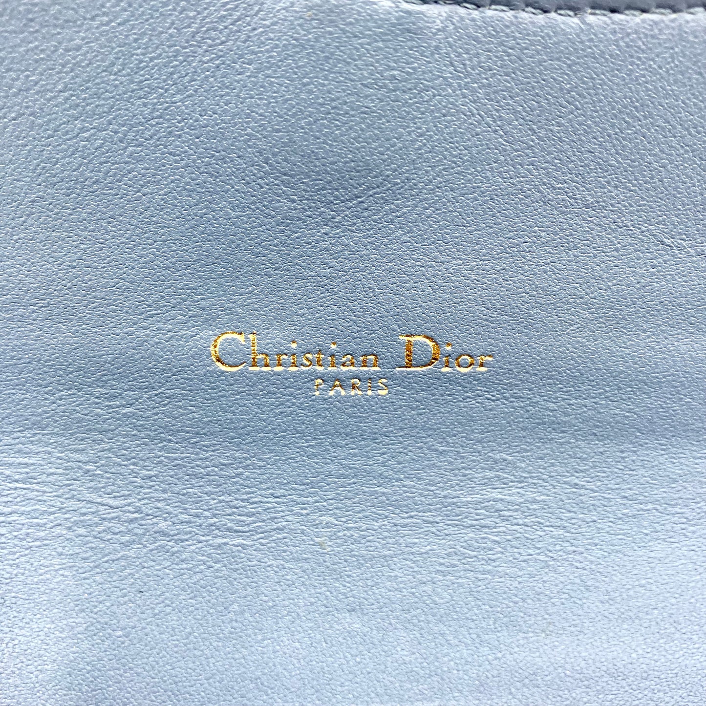 Christian Dior Leather Saddle WOC