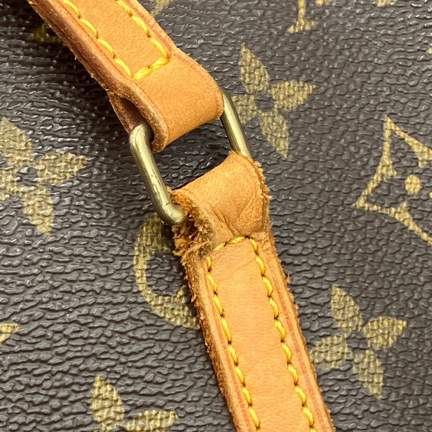 LOUIS VUITTON Monogram Papillon
