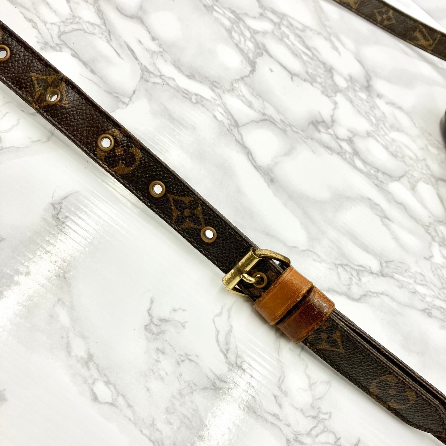 LOUIS VUITTON Monogram Nile