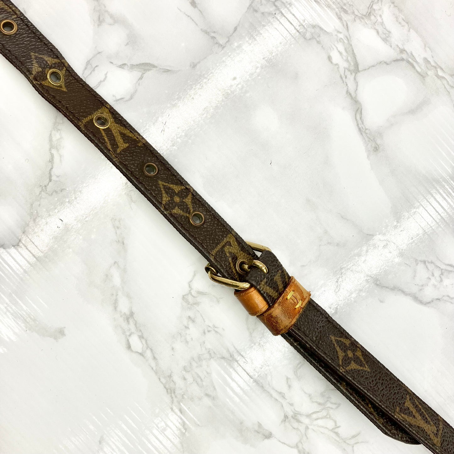 LOUIS VUITTON Monogram Nile
